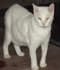 Timothy