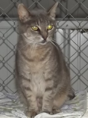 Sammy
