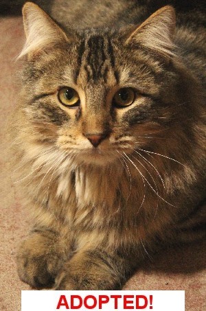 Bodie